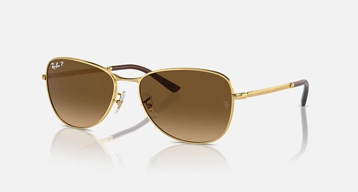 Kính Mát Ray-Ban RB3733 001/M2