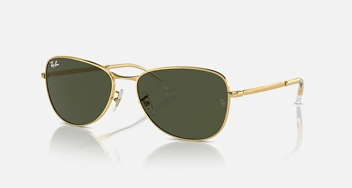 Kính Mát Ray-Ban RB3733 001/31