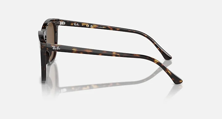 Ray-Ban RB2210 902/31