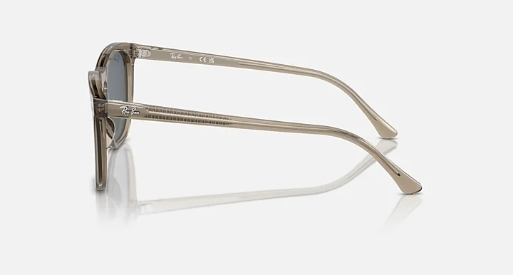 Ray-Ban RB2210 6765/R5