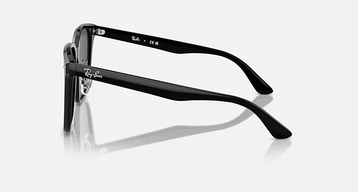 Ray-Ban RB2206D 901/87