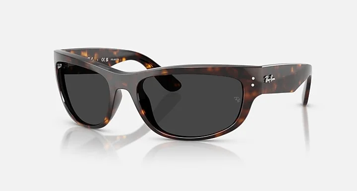 Kính Mát Ray-Ban RB2289 902/48