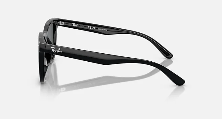 Ray-Ban RB4391D 601/81