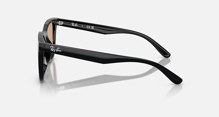 Ray-Ban RB4391D 601/93