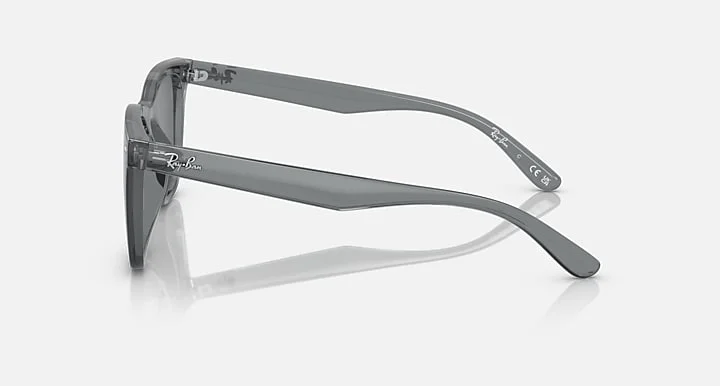 Ray-Ban RB4391D 6450/87