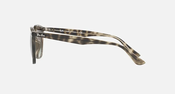 Ray-Ban RB4258F 731/E8