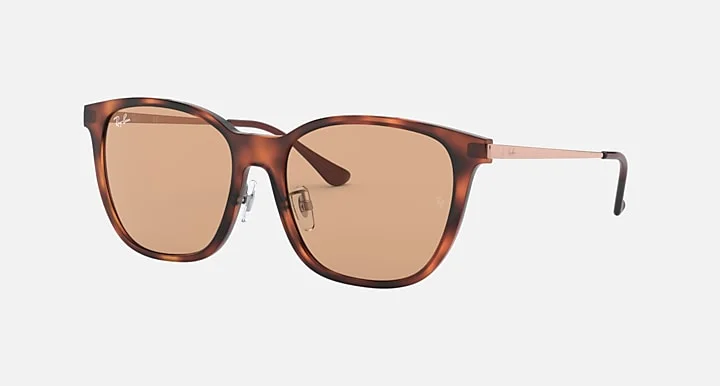 Kính Mát Ray-Ban RB4333D 6492/93