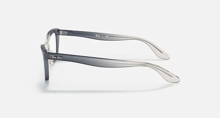 Ray-Ban RB5499 8147