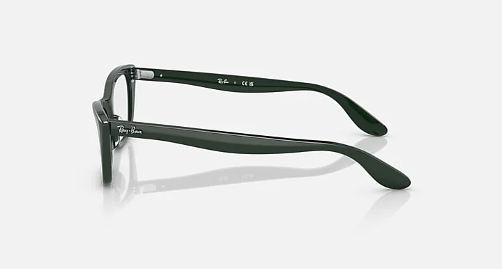 Ray-Ban RB5499 8226