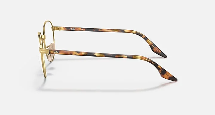 Ray-Ban RB3691V 2500