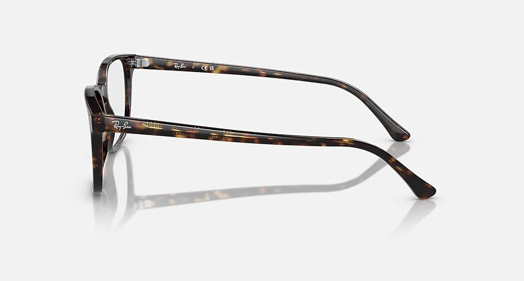 Ray-Ban RB5418 2012