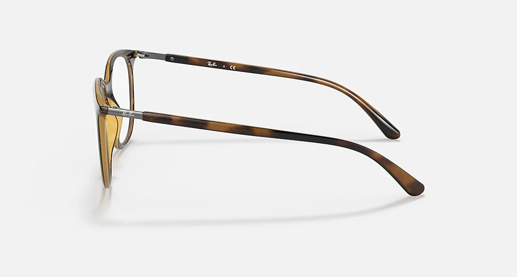 Ray-Ban RB7190 2012