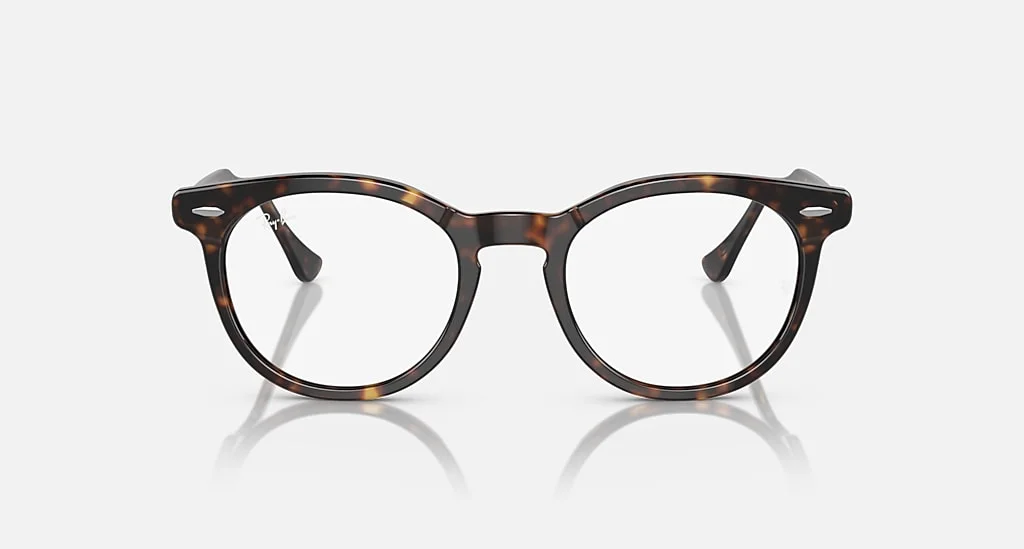 Ray-Ban RX5598 2012