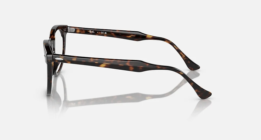Ray-Ban RX5598 2012