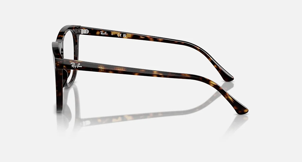 Ray-Ban RX2210V 2012