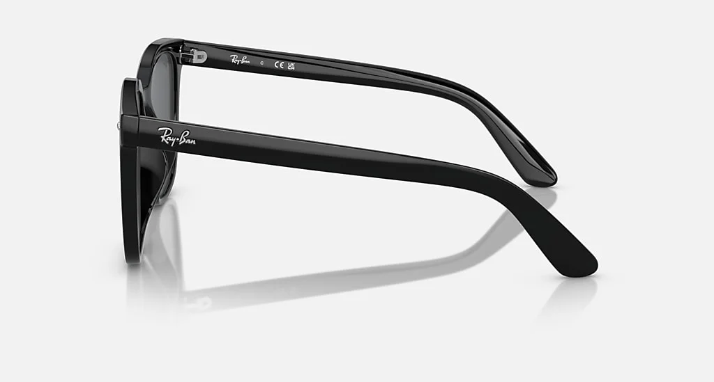 Ray-Ban RB4401D 601/87