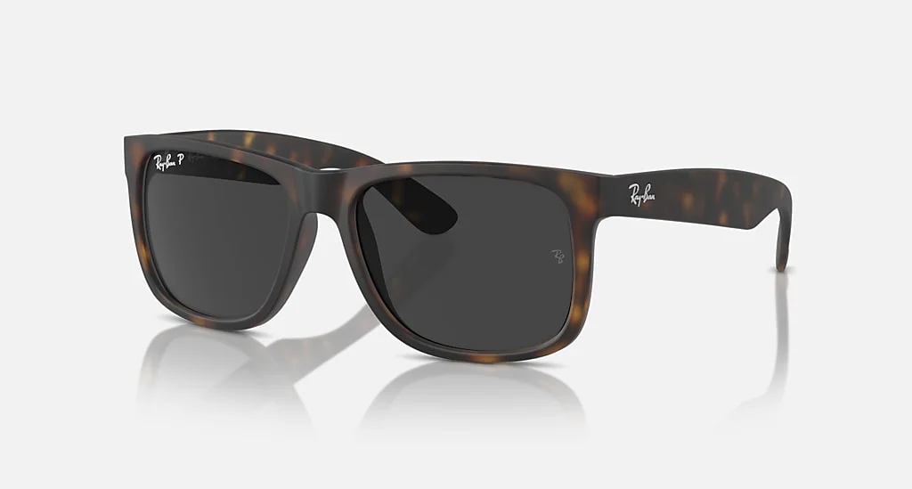 Kính Mát Ray-Ban RB4165 865/87