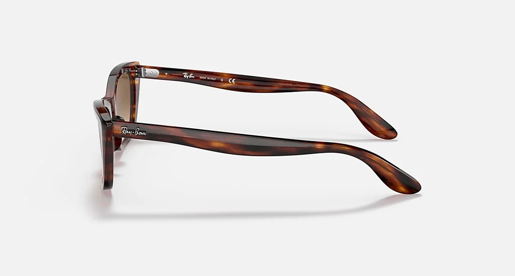 Ray-Ban RB2299 954/51