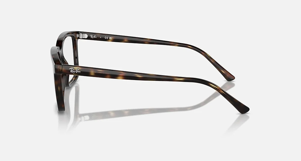 Ray-Ban RX7239F 2012